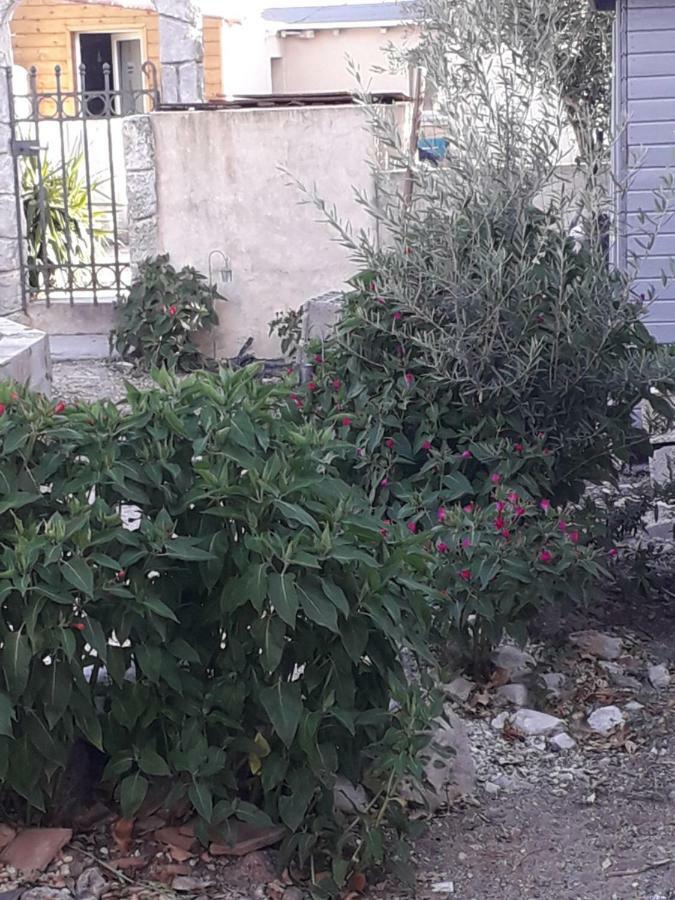 Cournonterral Maison Cosy מראה חיצוני תמונה